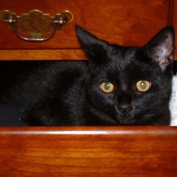 Meet your Posher, Kay - Picture 1 of 1